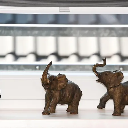 Lägenhet Haus-Karin-Ferienwohnung-1 *